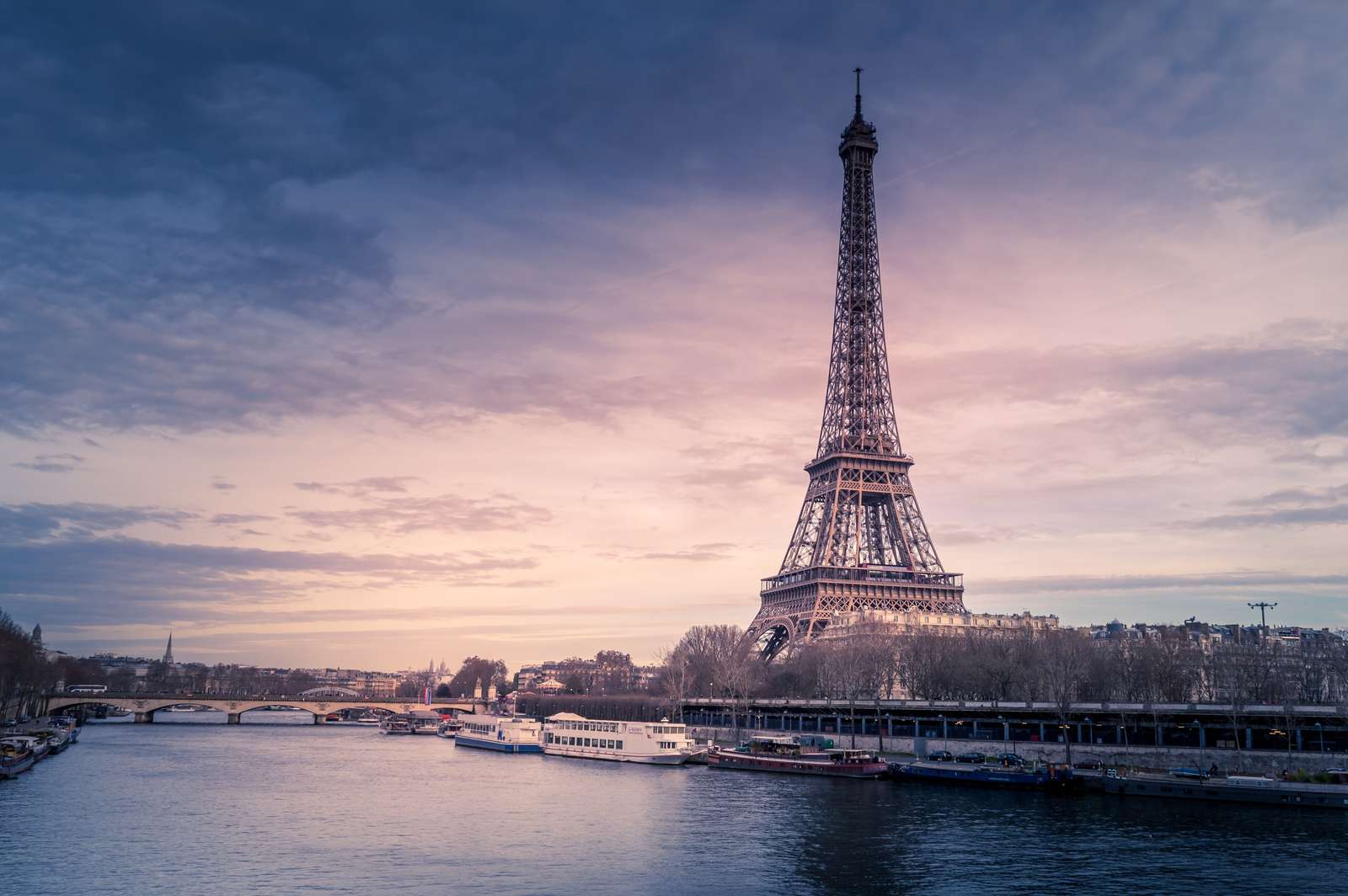 How many gigs in French can you find on Fiverr?