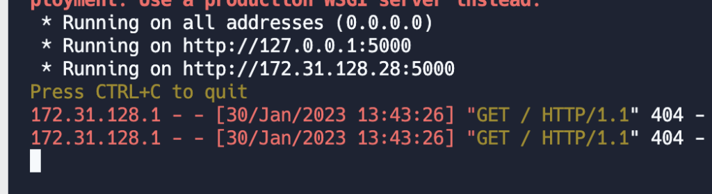 Replit Console