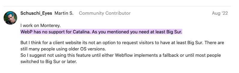webflow webp not showing on Safari